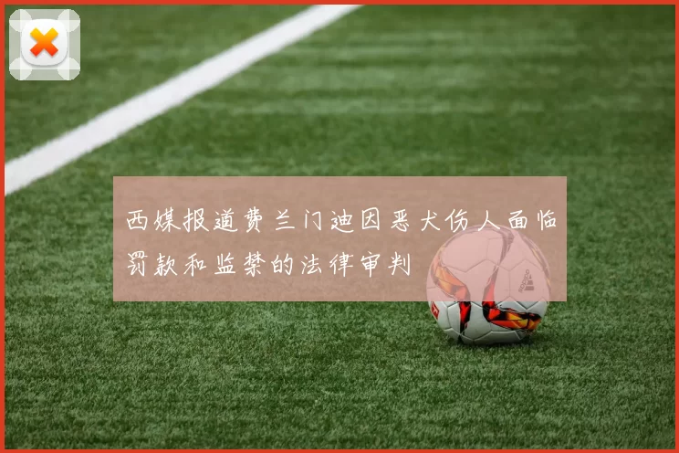 西媒报道费兰门迪因恶犬伤人面临罚款和监禁的法律审判