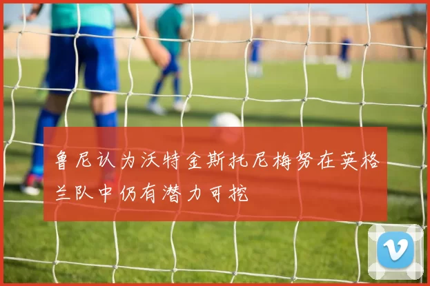 鲁尼认为沃特金斯托尼梅努在英格兰队中仍有潜力可挖